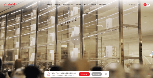ビタブリッドジャパン