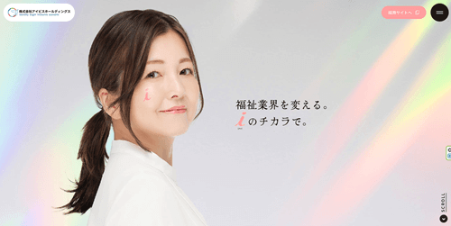 アイビスホールディングス