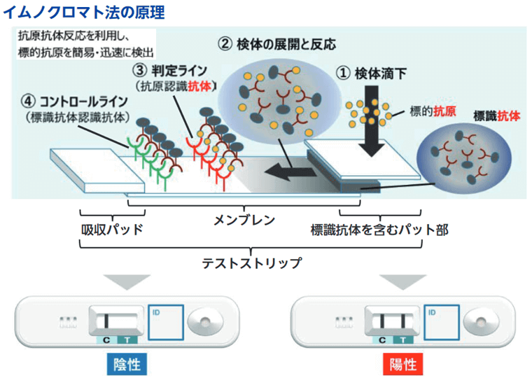 イムノクロマト法