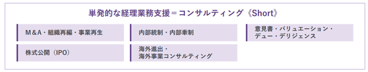 コンサルティング業務（Short）