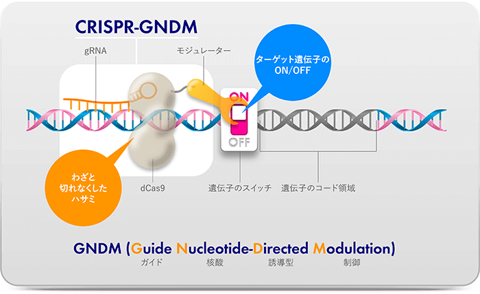 CRISPR-GNDM技術