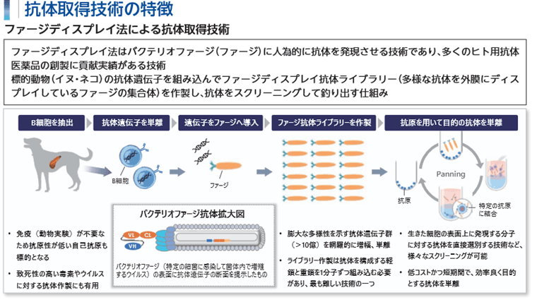抗体取得技術の特徴